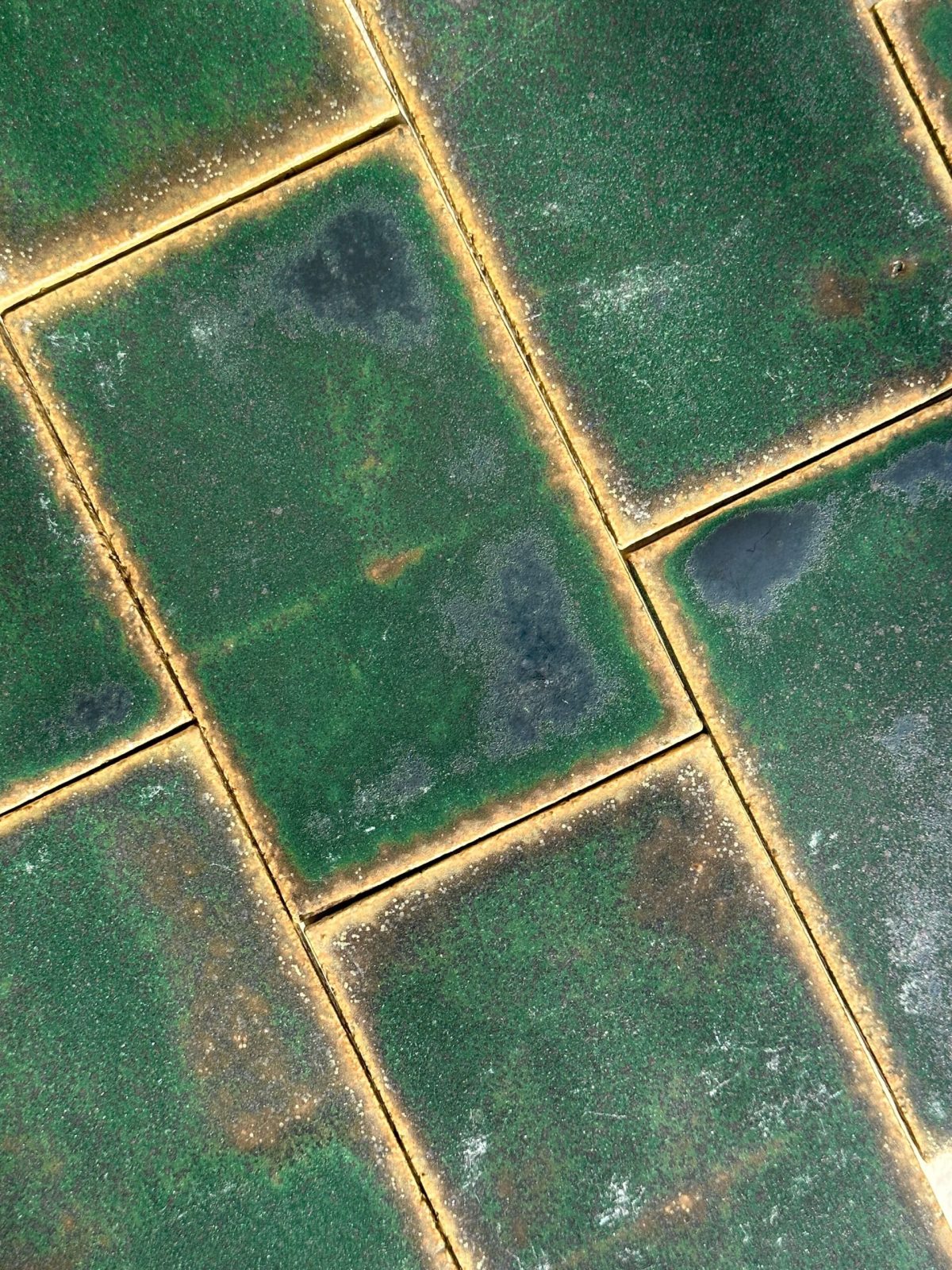 Ecuatorial Forest 2